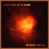 Zzimo Rech - The Life Of A Star