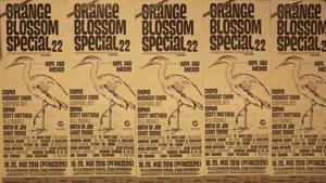 Orange Blossom Special 22